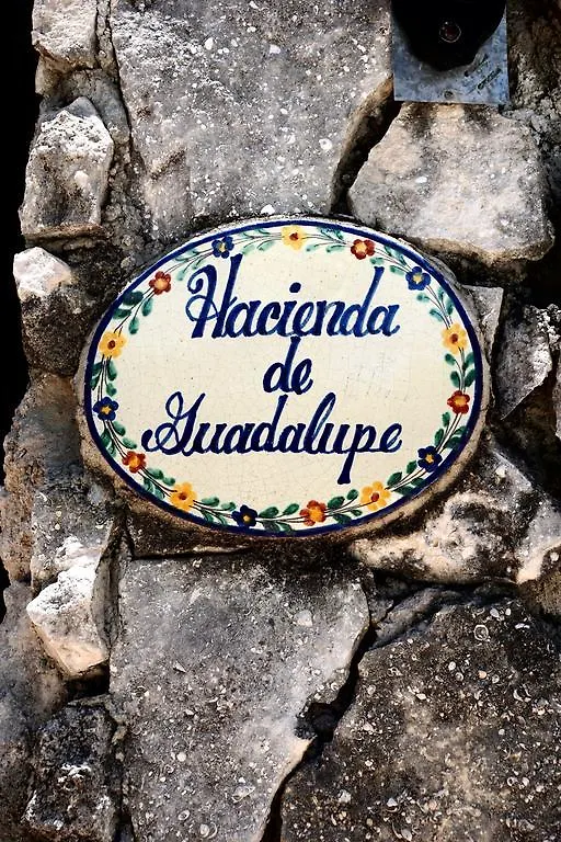 Studio Hacienda Guadalupe アパート プレヤデルカーメン